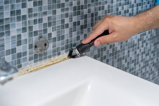 Best Local Mold Removal Service  in Merrionette Park, IL